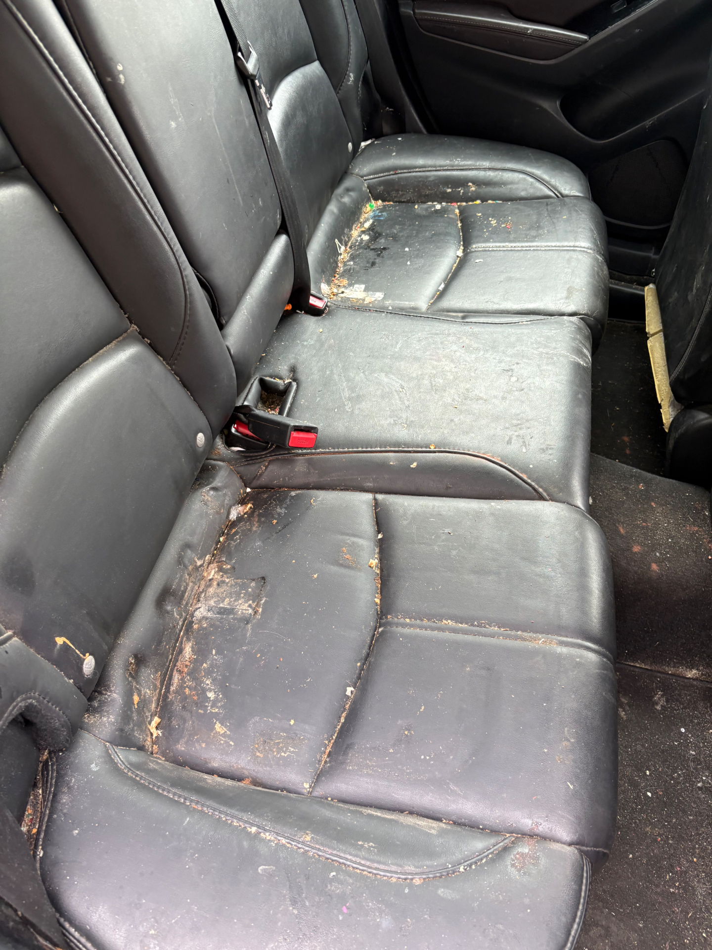 Rear Seats before